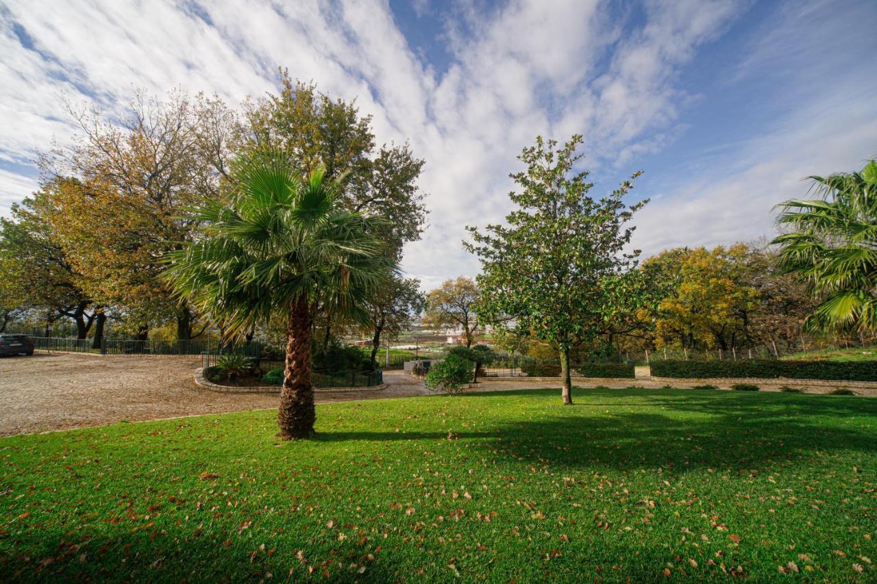 Aria - Villa Di Campagna Montecorvino Rovella Exteriör bild